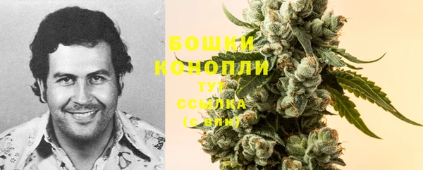 ешки Михайлов