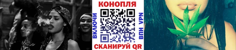Канабис семена  где продают наркотики  Шахты 
